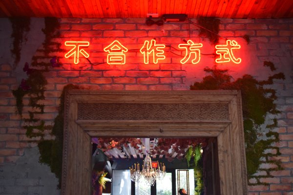 Mandrake Miami by null