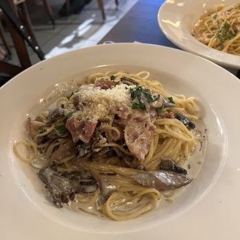 Pasta e Pasta by Allegro - Bacon and mushrooms with Gorgonzola cream sauce - Pasta Shops Near Me - Cerritos, California Pasta e Pasta by Allegro - Bacon and mushrooms with Gorgonzola cream sauce - Pasta Shops Near Me - Cerritos, California