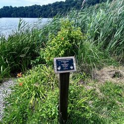 William H Kain Memorial Park