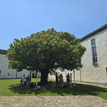 Castelgrande - Landmarks & Historical Buildings Near Me - Bellinzona, TI