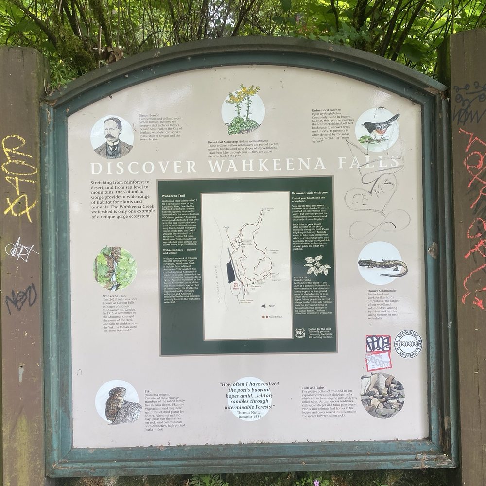 Wahkeena Falls - Parks Near Me - Troutdale, Oregon Wahkeena Falls - Parks Near Me - Troutdale, Oregon