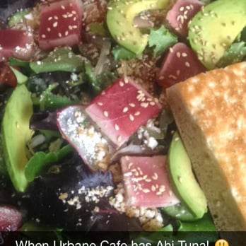Urbane Cafe - Daily Special: Salad w/ Ahi Tuna! - Sandwiches Near Me - Thousand Oaks, California Urbane Cafe - Daily Special: Salad w/ Ahi Tuna! - Sandwiches Near Me - Thousand Oaks, California
