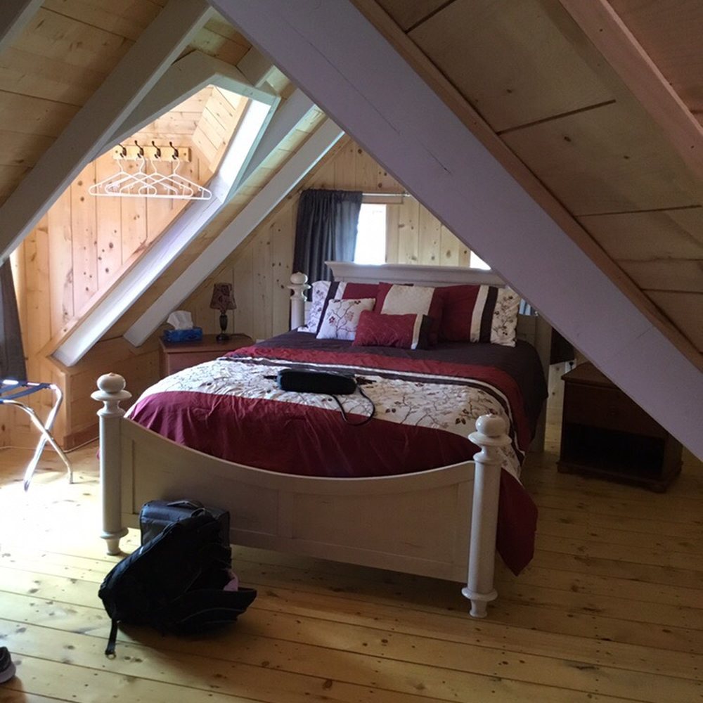 Trinity Eco-Tours - Blue Whale Room - Whale Watching Tours Near Me - Trinity, Newfoundland and Labrador