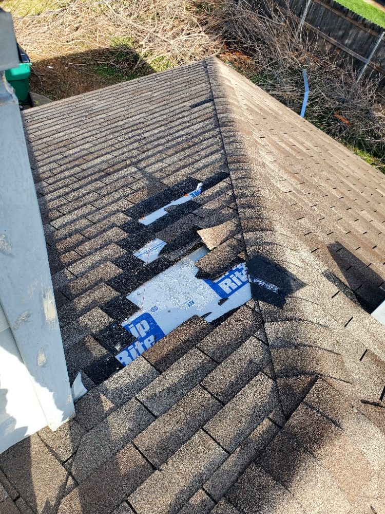 Slide of Pirate Roofing