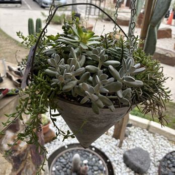 Ceremony Botanical Studio - Nurseries & Gardening Near Me - Wimberley, Texas