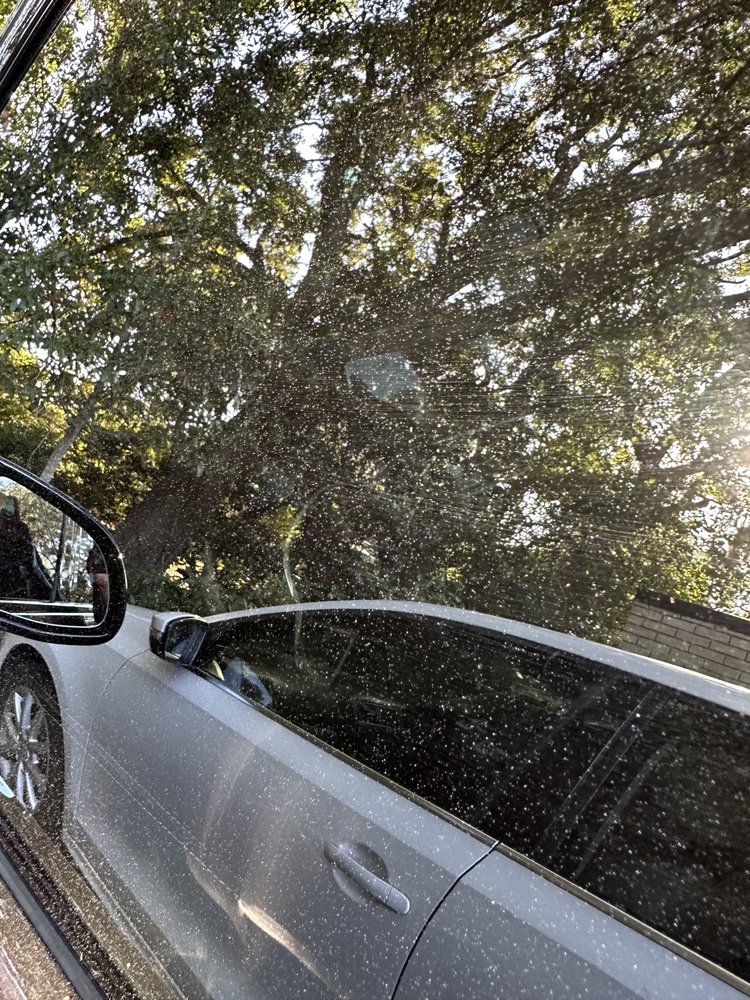 FINS CAR WASH Updated September 2024 12 Photos & 40 Reviews 1109