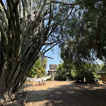 Rancho Los Cerritos - Museums Near Me - Long Beach, California Rancho Los Cerritos - Museums Near Me - Long Beach, California