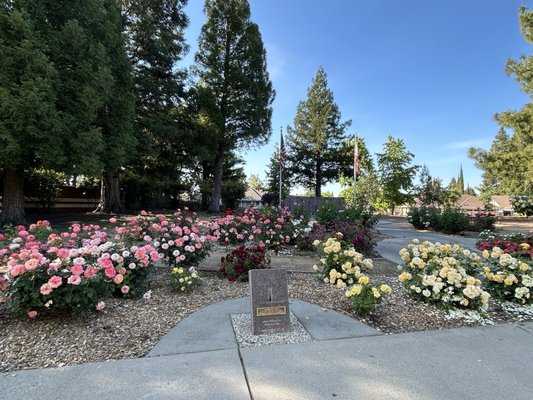 Maidu Regional Park by null