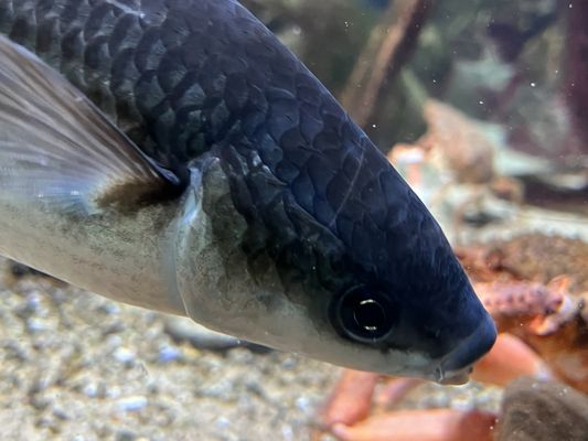 Zoo Antwerpen by null