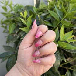Bugs Beauty