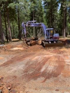 Tree Clearing for Development - Click the link below to schedule your free estimate today! Tree Clearing for Development - Click the link below to schedule your free estimate today!