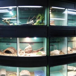 Arizona Exotics - Reptile Wall
