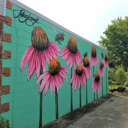 Cone Flower mural - Cone Flowers by Jules MuckRock Muck 2019