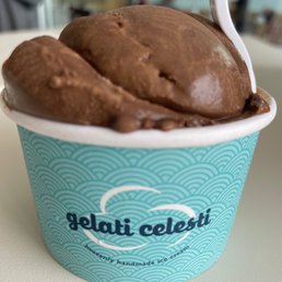 Scoop of Blanchard's Dark as Dark and Chocolate Decadence in a small cup Scoop of Blanchard's Dark as Dark and Chocolate Decadence in a small cup