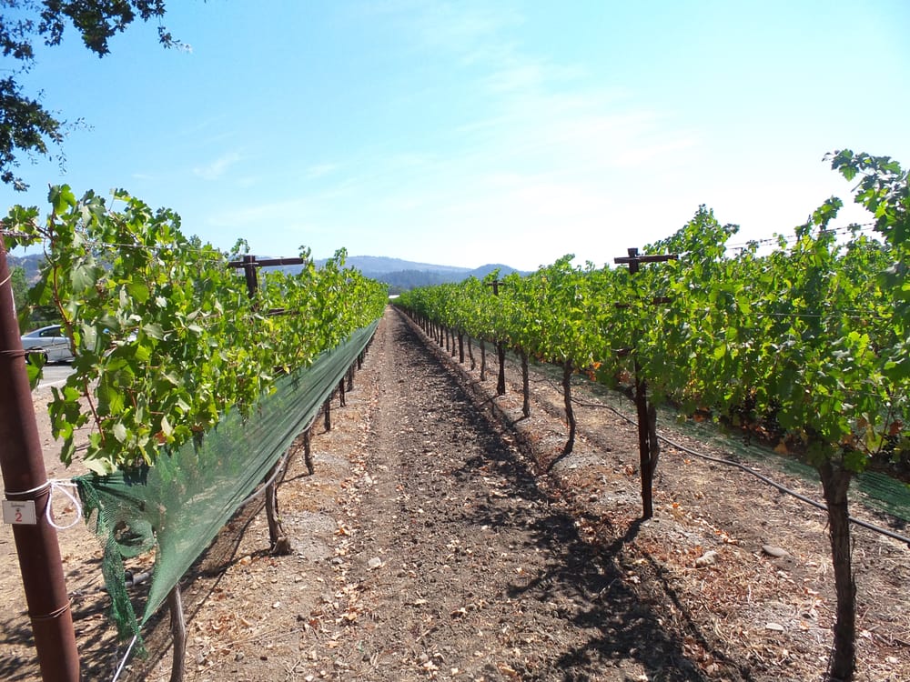 LIMO RENTAL NAPA VALLEY LIMOUSINE TOURS 15 Photos 2520 Vintage St