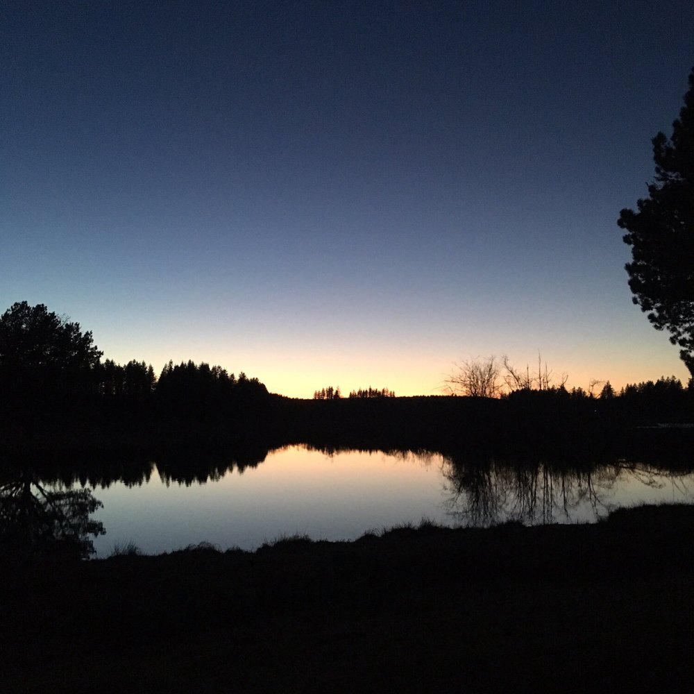 The Best 10 Campgrounds near Riffe Lake Campground in Mossyrock, WA Yelp