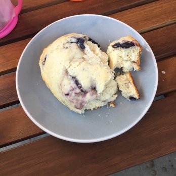 Little Bear Coffee - yummy scone... still waiting on my coffee. Great staff, they were out of the Cold brew... but hats okay!  Will be coming back. - Coffee & Tea Near Me - Albuquerque, New Mexico