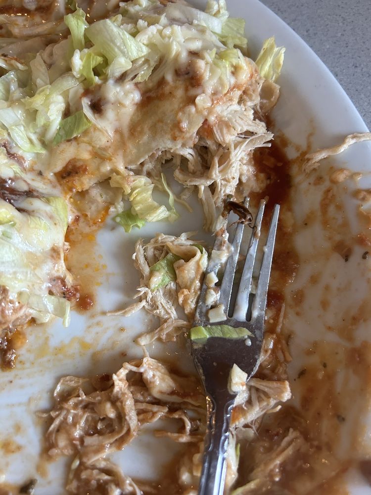Los Girasoles — Mexican restaurant in Youngstown