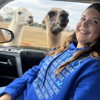 Tennessee Safari Park - More friends - Parks Near Me - Alamo, Tennessee