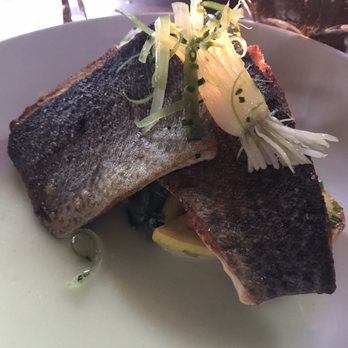 Kimball House - pan-seared trout $27 (scallion, beech mushroom, baby squash, kohlrabi, cucumber, juniper). - New American Near Me - Decatur, Georgia Kimball House - pan-seared trout $27 (scallion, beech mushroom, baby squash, kohlrabi, cucumber, juniper). - New American Near Me - Decatur, Georgia