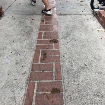 Villa Capri Apartments - No one ever picks up their dog poop - Apartments Near Me - Lomita, California