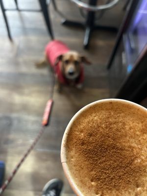 Ciao Bella Coffee by null