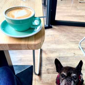 Peck 20 - Cappuccino - Breakfast & Brunch Near Me - Saint-Gilles, BRU Peck 20 - Cappuccino - Breakfast & Brunch Near Me - Saint-Gilles, BRU