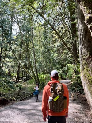 Lake Padden Park by null