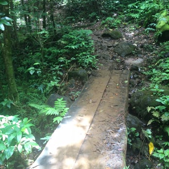 Pu'u Pia Trail - The bridge means your 2/3 there. - Hiking Near Me - Honolulu, Hawaii