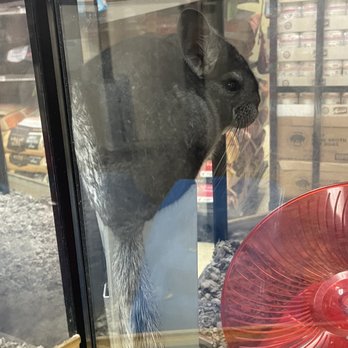 Petco - Pet Stores Near Me - Honolulu, Hawaii Petco - Pet Stores Near Me - Honolulu, Hawaii