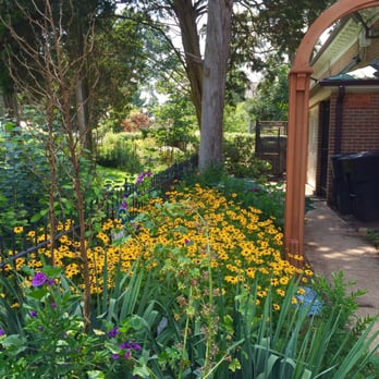 Glencarlyn Library Community Garden - So beautiful. A wonderful place to relax. - Community Gardens Near Me - Arlington, Virginia Glencarlyn Library Community Garden - So beautiful. A wonderful place to relax. - Community Gardens Near Me - Arlington, Virginia