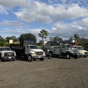 Five Star Tree Service - Tree Services Near Me - Bradenton, Florida Five Star Tree Service - Tree Services Near Me - Bradenton, Florida