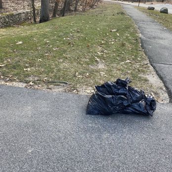 Ned Stevens Gutter Cleaning - Leaves in trash bags put on the curbside. - Gutter Services Near Me - Winchester, Massachusetts Ned Stevens Gutter Cleaning - Leaves in trash bags put on the curbside. - Gutter Services Near Me - Winchester, Massachusetts