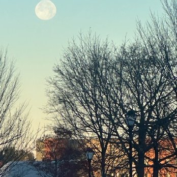 The Richardson Hotel - The Gemini Supermoon, morning of 12/5/25. - Hotels Near Me - Buffalo, New York The Richardson Hotel - The Gemini Supermoon, morning of 12/5/25. - Hotels Near Me - Buffalo, New York