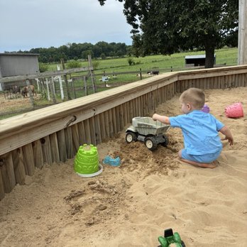 Johnson's Locust Hall Farm - Dump trucks in the sandbox were a hit - Attraction Farms Near Me - Jobstown, New Jersey Johnson's Locust Hall Farm - Dump trucks in the sandbox were a hit - Attraction Farms Near Me - Jobstown, New Jersey