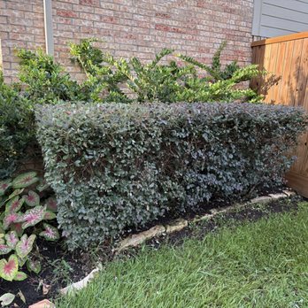 Texas Lawn Services - Jobs we done - Lawn Services Near Me Texas Lawn Services - Jobs we done - Lawn Services Near Me