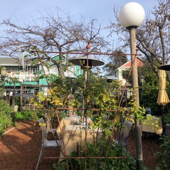 Robins Restaurant - Outdoor, dog friendly patio. - New American Near Me - Cambria, California Robins Restaurant - Outdoor, dog friendly patio. - New American Near Me - Cambria, California