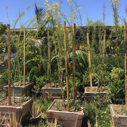 Pine Hills Nursery