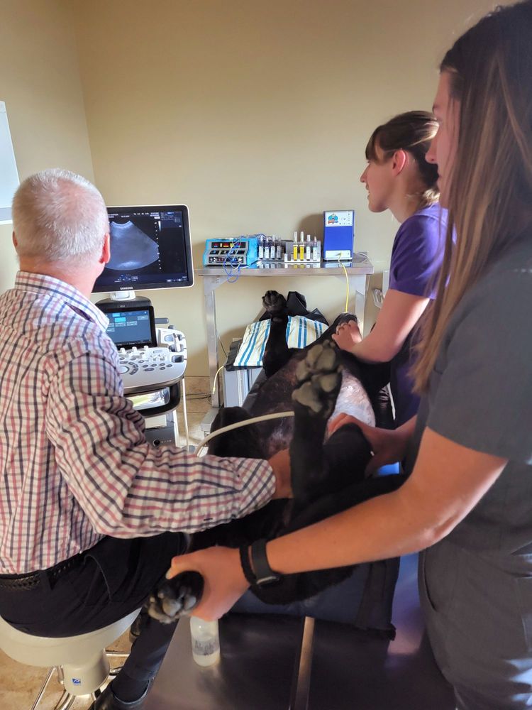 ANIMAL CARE CENTER OF SPEARFISH Updated October 2024 316 W Hwy 14