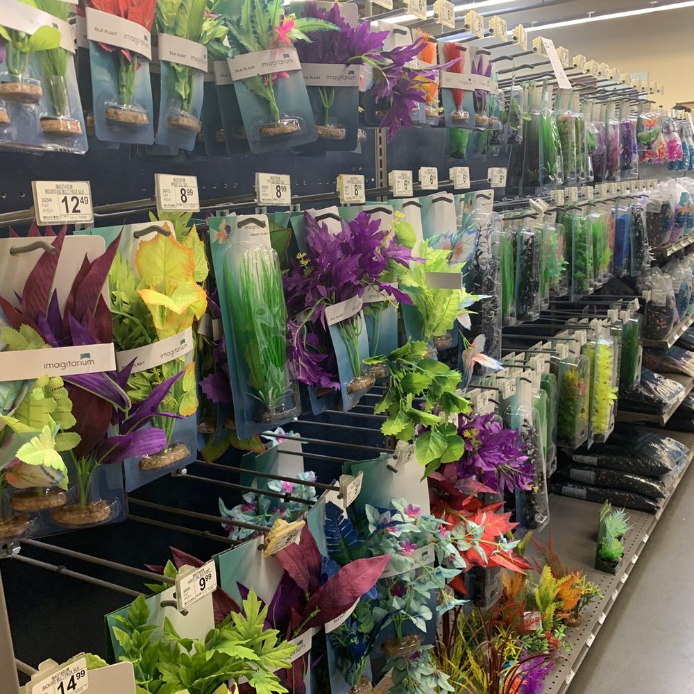 Petco - Pet Groomers Near Me - Kaneohe, Hawaii