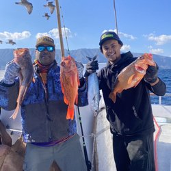 Amaysing Fishing Bait An Tackle - Red snapper Log on to Amaysingfishing.shop