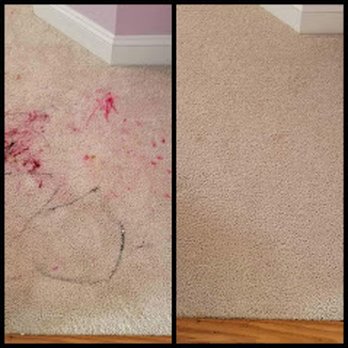 Carolina Carpet Solutions - Carpet Cleaning Near Me - Charlotte, North Carolina Carolina Carpet Solutions - Carpet Cleaning Near Me - Charlotte, North Carolina