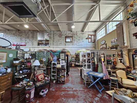 Black Dog Salvage by null