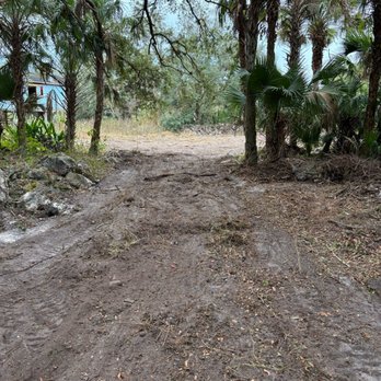 Tree Trunk Landscapes - Landscaping Near Me