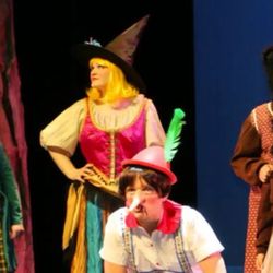 Alliance For Performing Arts