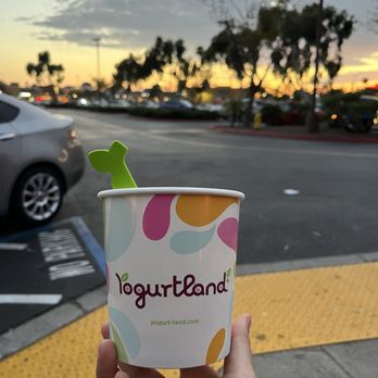 Yogurtland - food - Ice Cream & Frozen Yogurt Near Me - San Diego, California Yogurtland - food - Ice Cream & Frozen Yogurt Near Me - San Diego, California