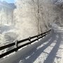 Photo of Nature Resort