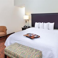 Hampton Inn Pecos - Guest room