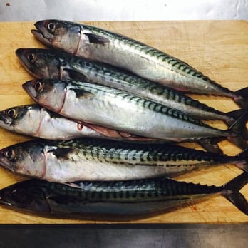 Windsor Castle - Fresh mackerel - Pubs Near Me - London, XGL Windsor Castle - Fresh mackerel - Pubs Near Me - London, XGL