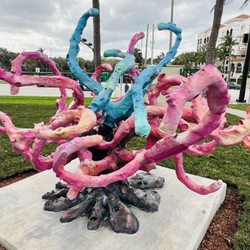Recycled Reef